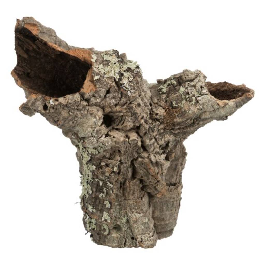 Korkröhre